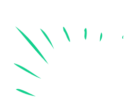 Green highlight