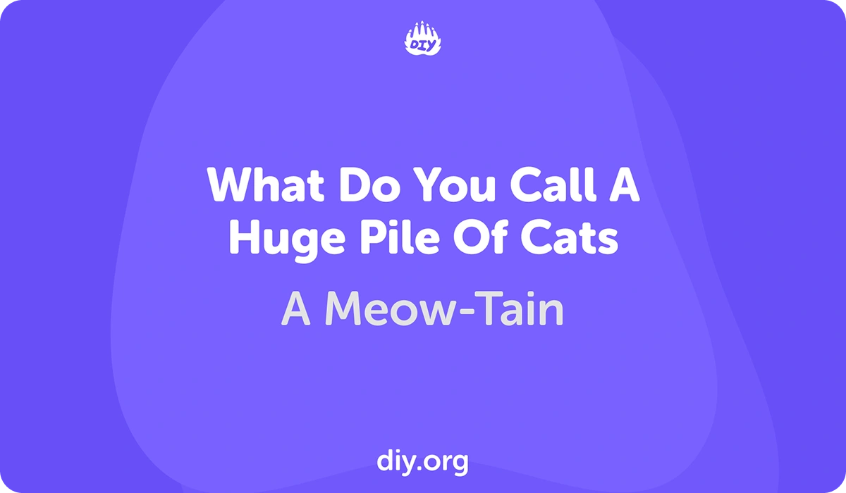 Things to Do with Kids on DIY.ORG